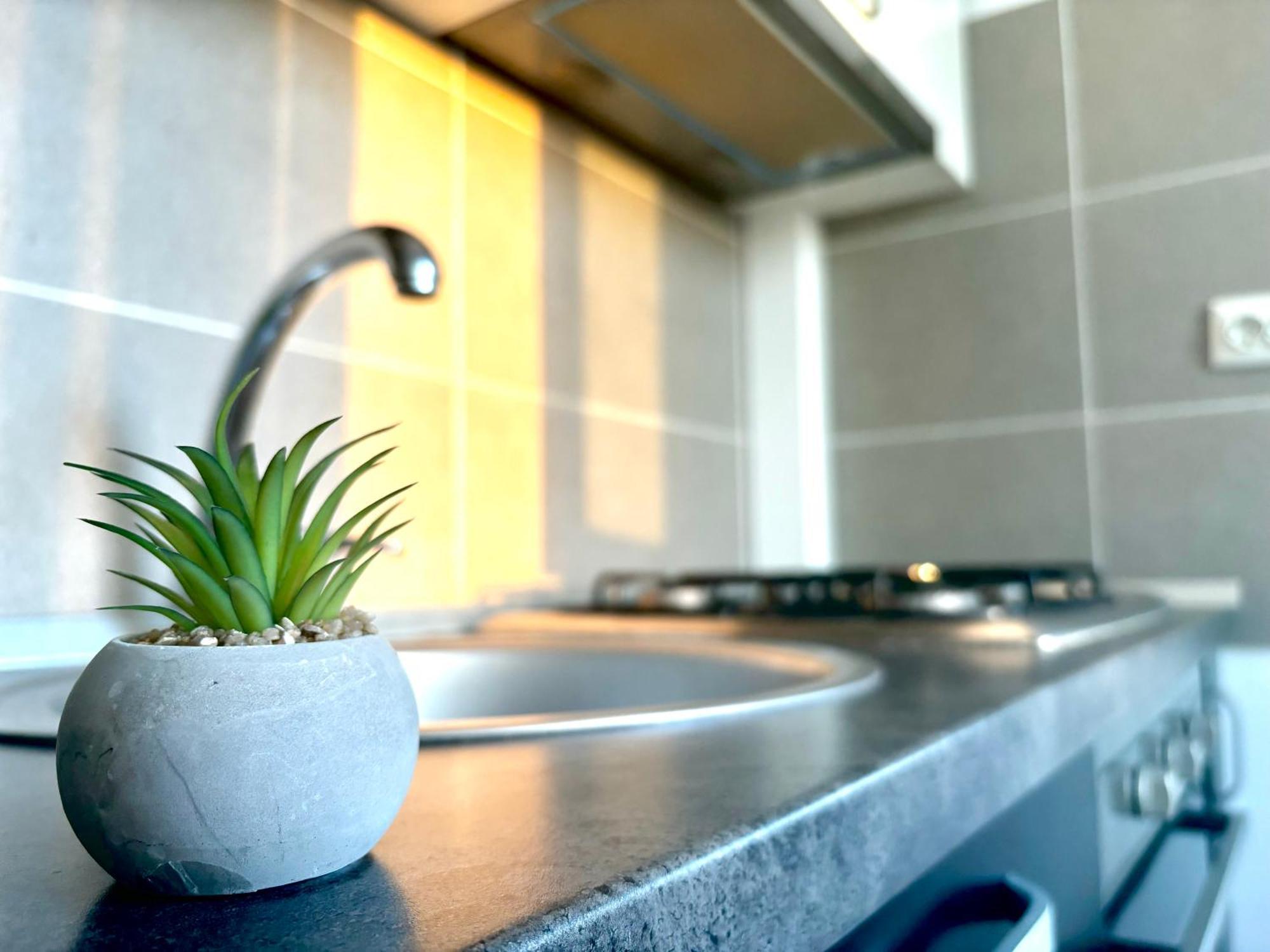 Taste Of Iasi - Two Room Apartment - Central - Sunset Touch Exterior foto